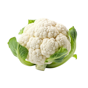 Head of Cauliflower